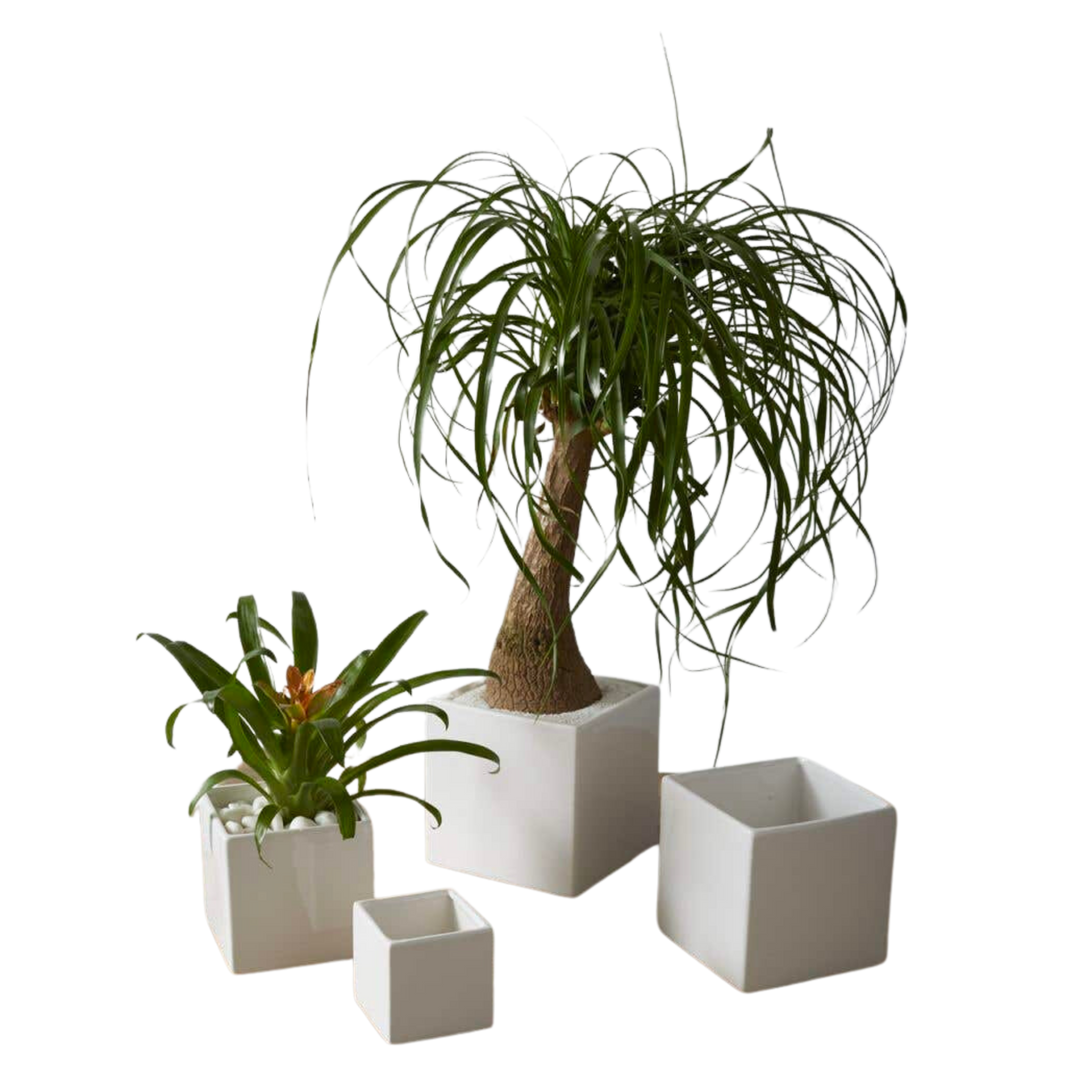 Urban Square Pot