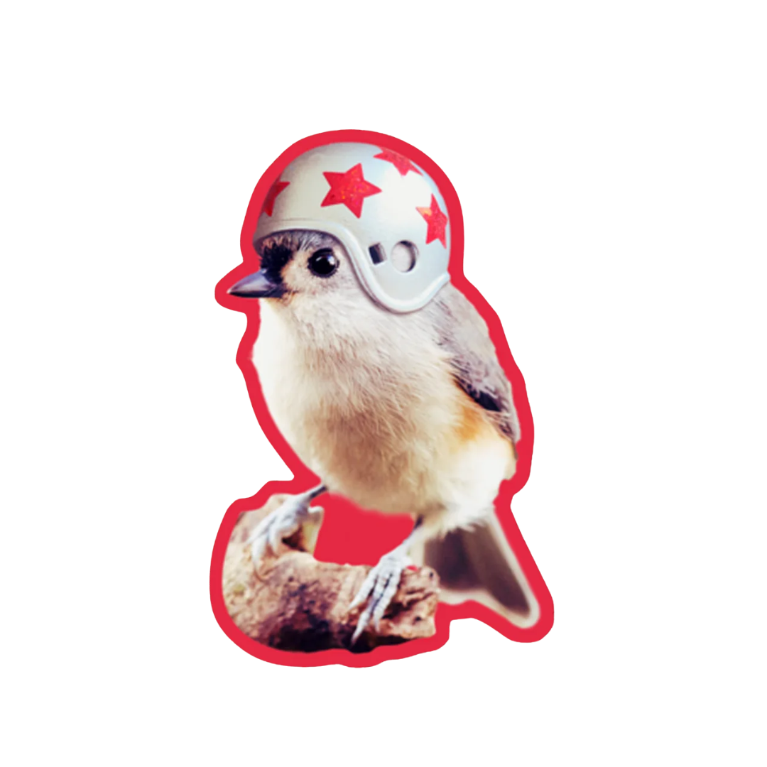 Bird Wearing Helmet Funny Bird Sticker