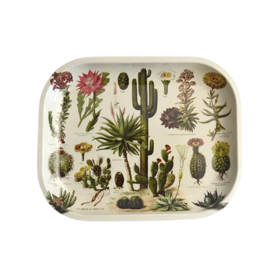 Small Metal Cactus Ritual Tray / Vintage Cacti Print