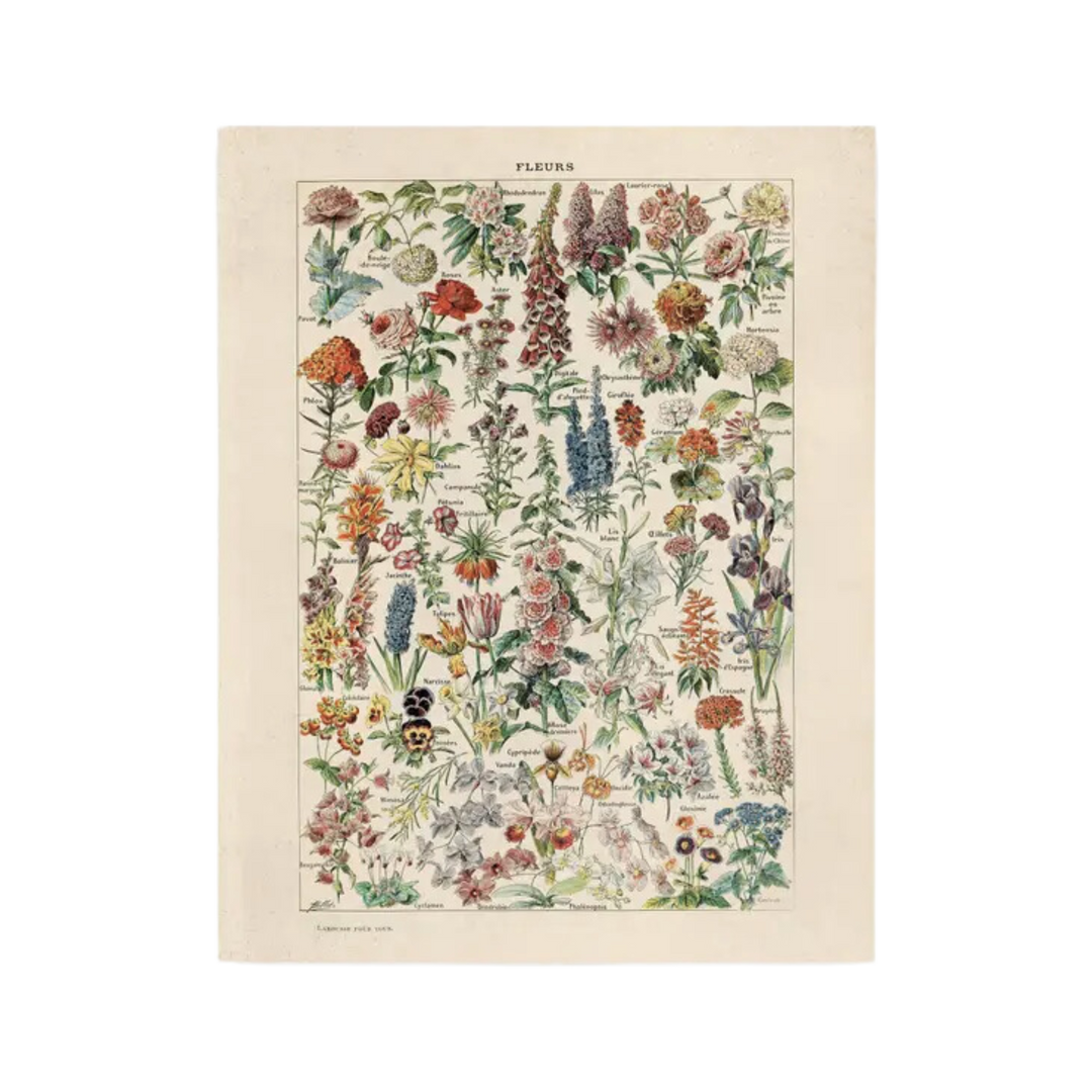 Vintage Botanical Fleurs Flower Print