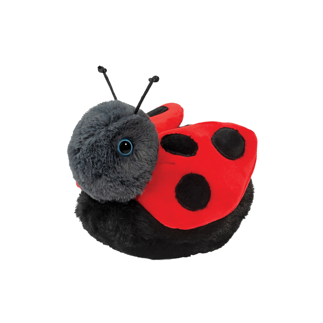 Bert Ladybug