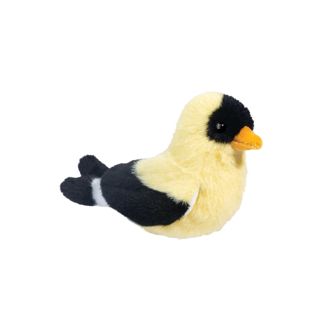 Faye Goldfinch