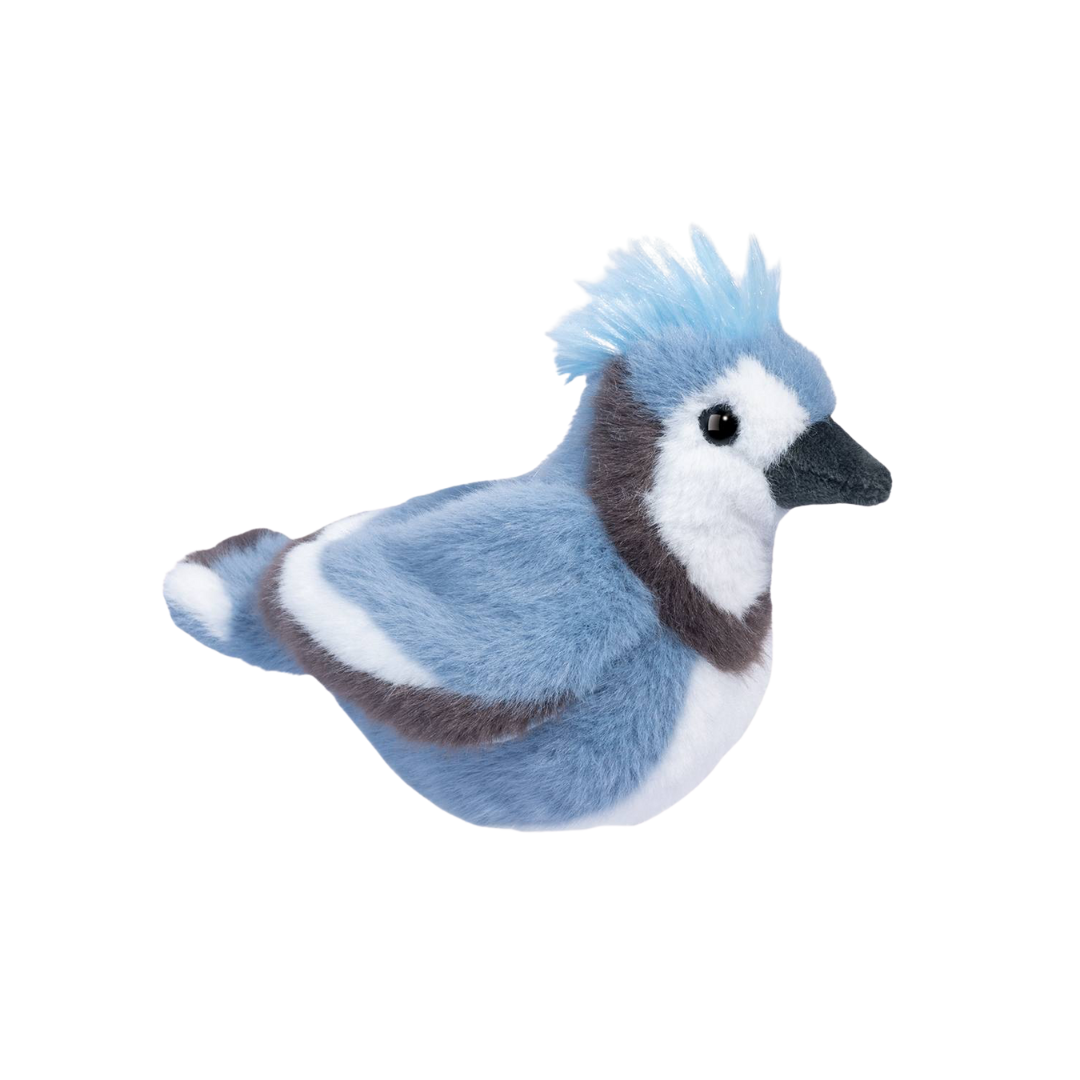 Denim Blue Jay