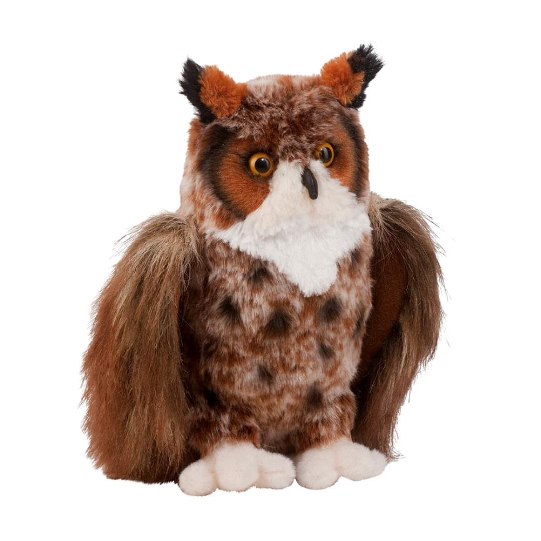 Einstein Great Horned Owl