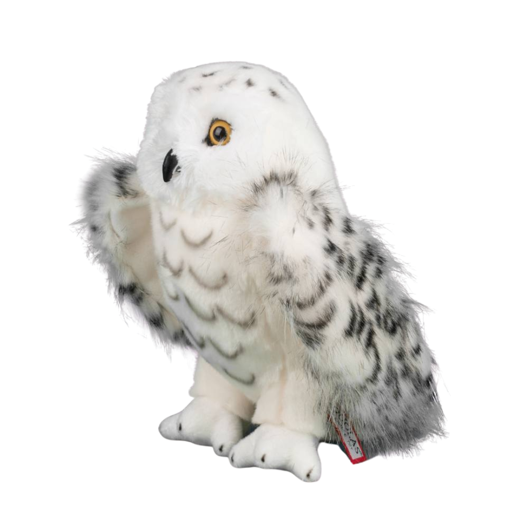 Legend Snowy Owl