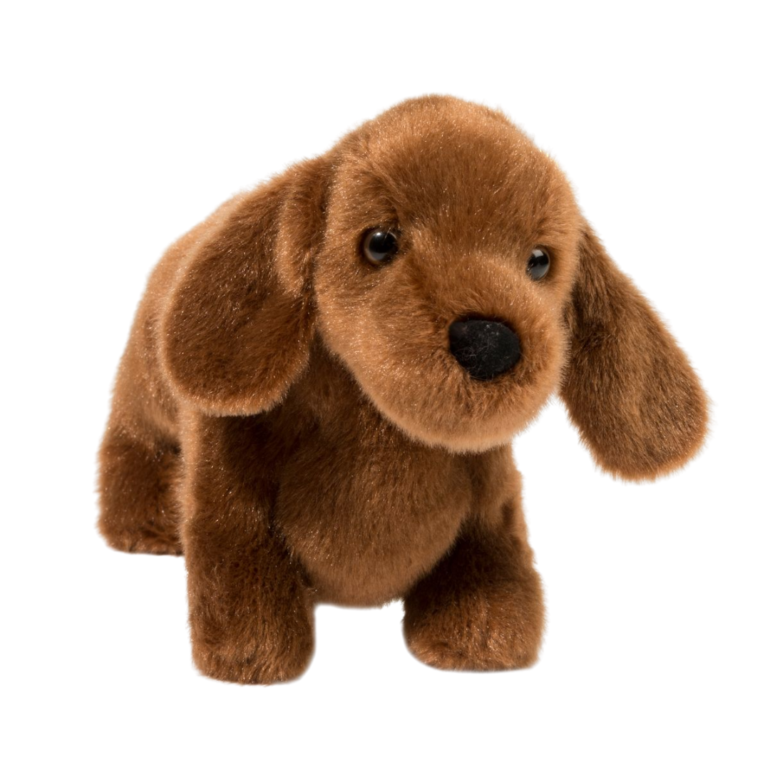 Dilly Dachsund
