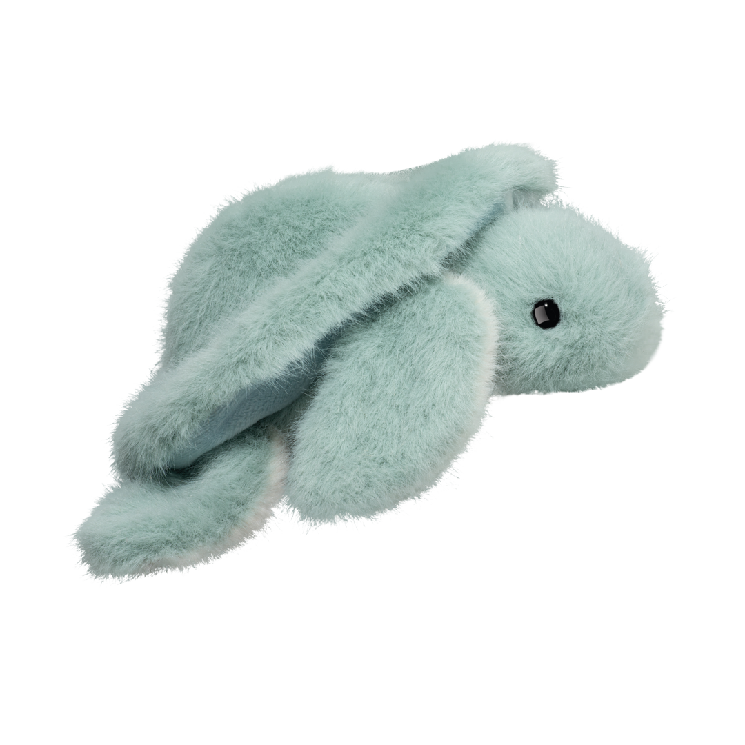 Lil Baby Aqua Turtle