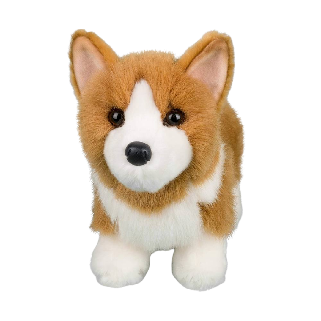 Louie Corgi
