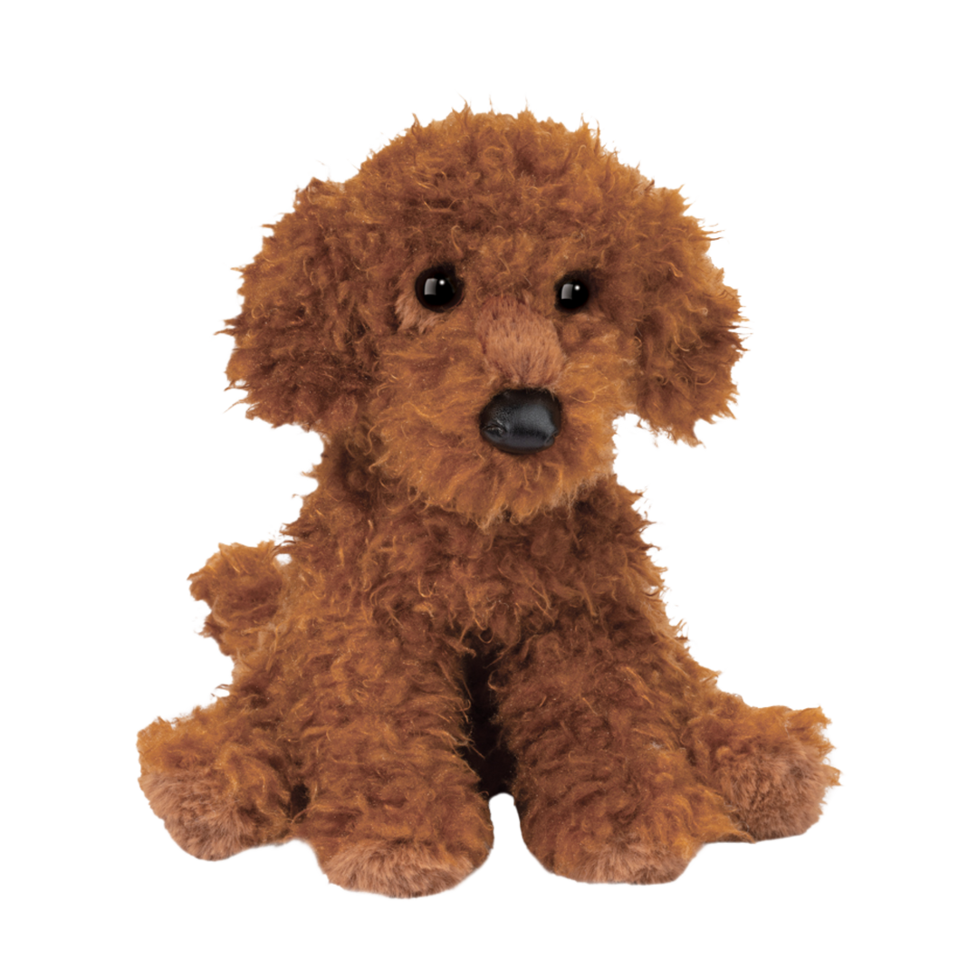 Ginger Miniature Poodle