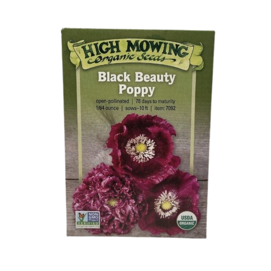 Black Beauty Poppy 1/64 oz.