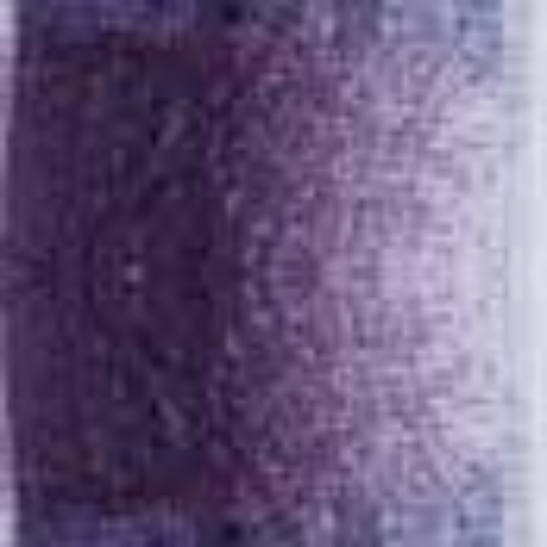 Raisin Holbein Artists' Colored Pencils