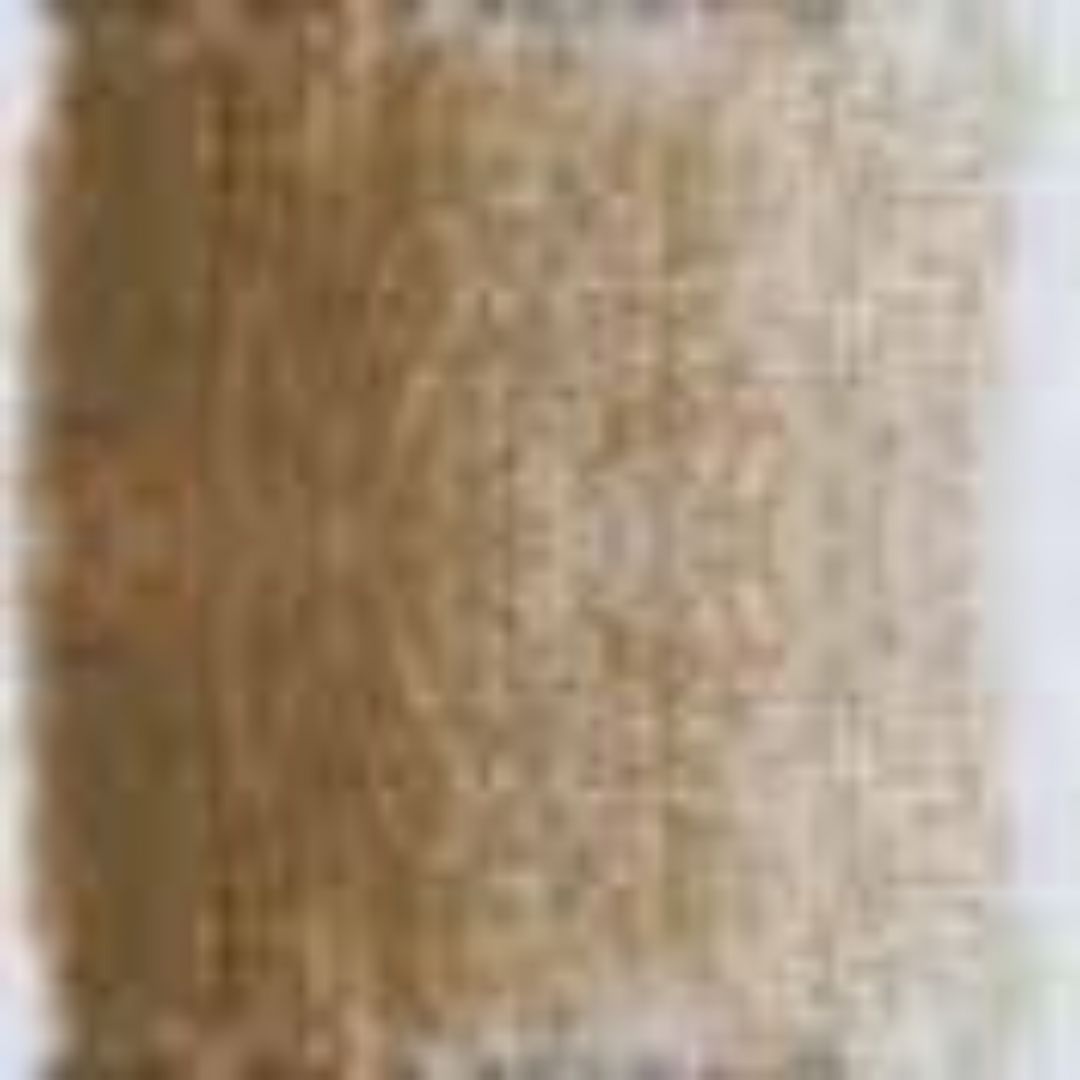 Raw Umber Holbein Artists' Colored Pencils