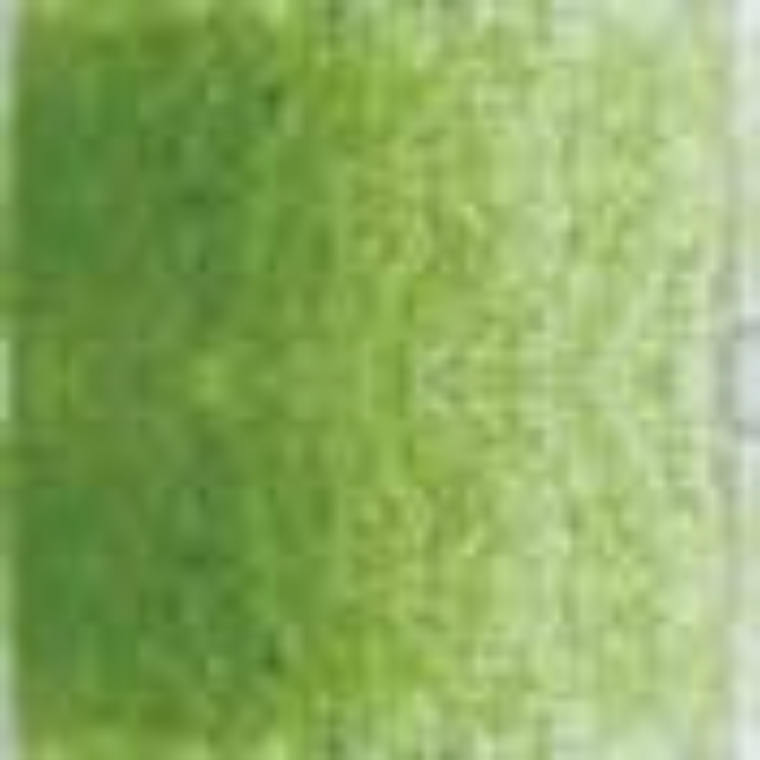 Sap Green Holbein Artists' Colored Pencils