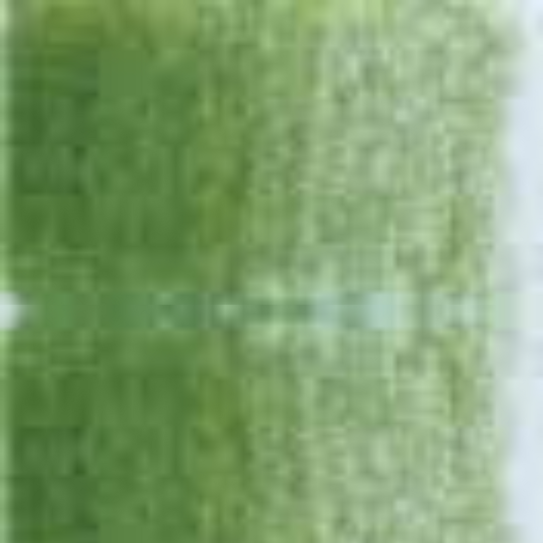 Cactus Green Holbein Artists' Colored Pencils