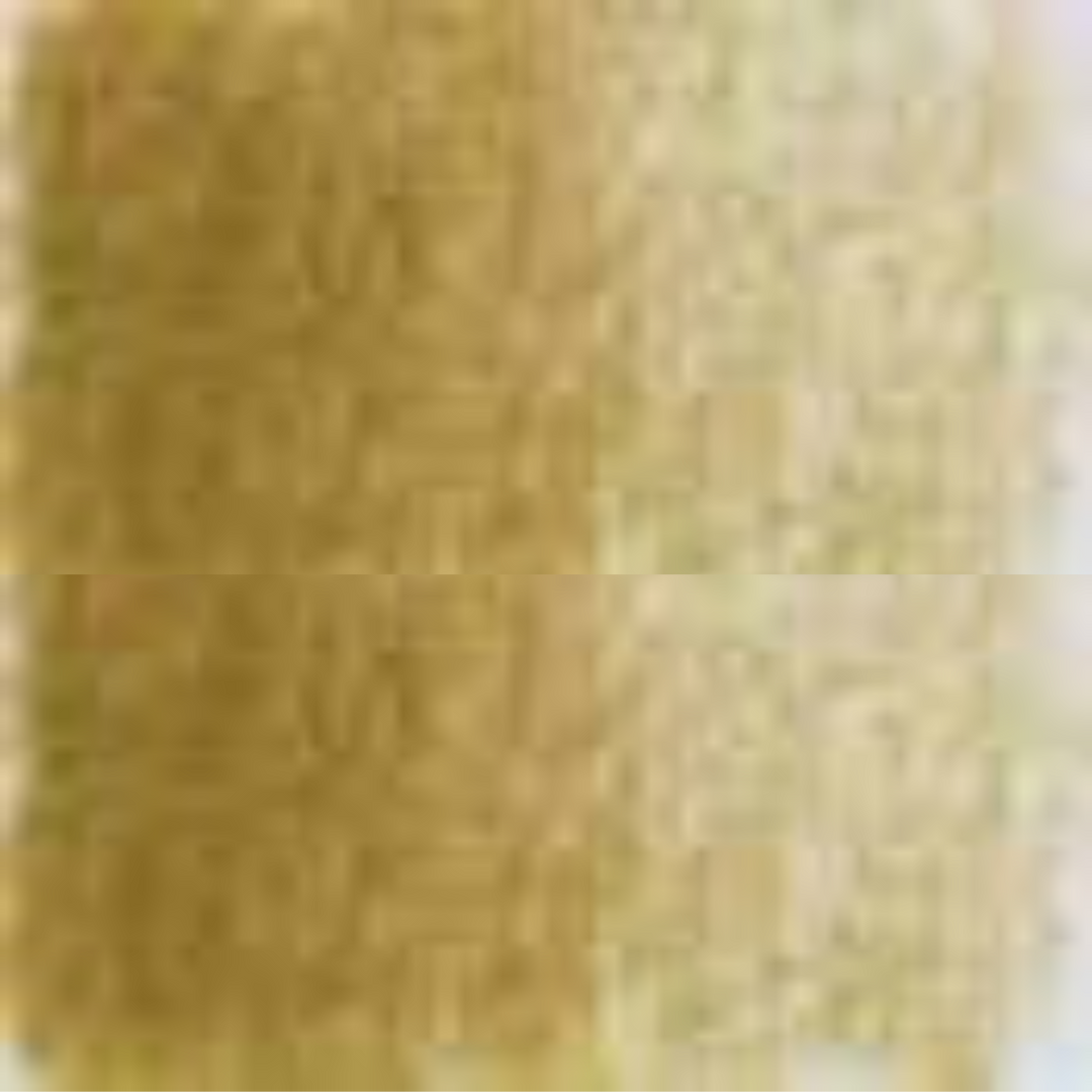 Olive Brown Holbein Artists' Colored Pencils