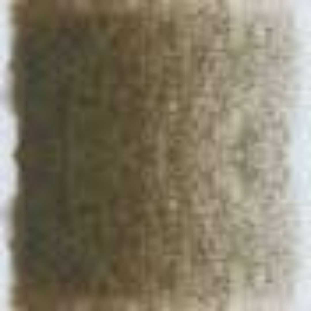 Olive Drab Holbein Artists' Colored Pencils