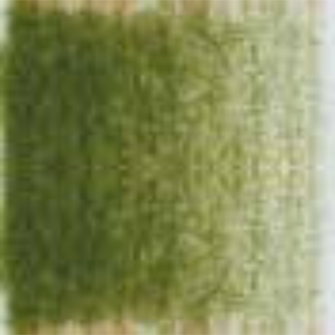 Olive Green Holbein Artists' Colored Pencils