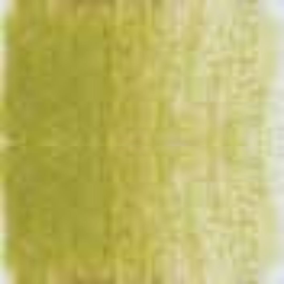 Olive Yellow Holbein Artists' Colored Pencils