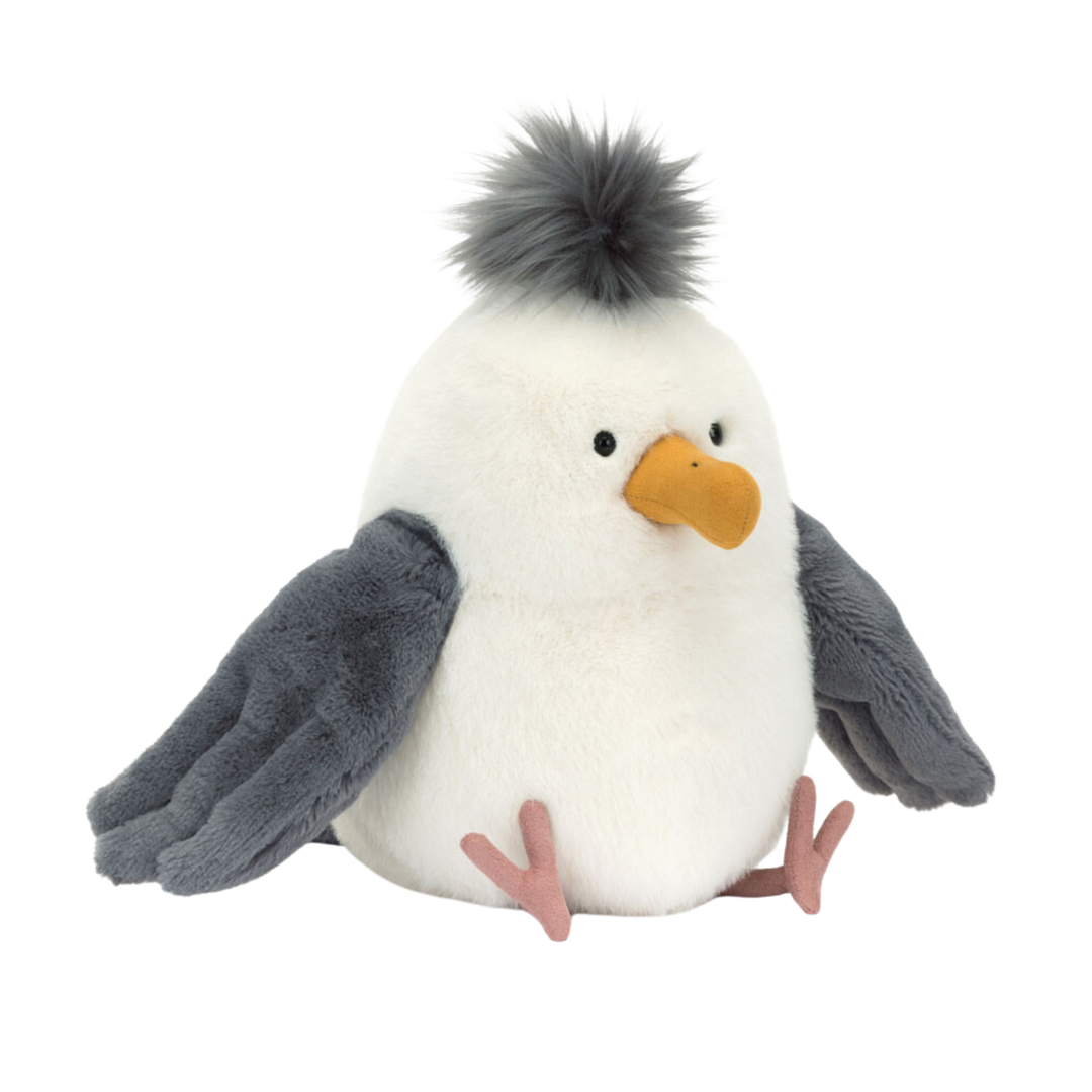 Chip Seagull