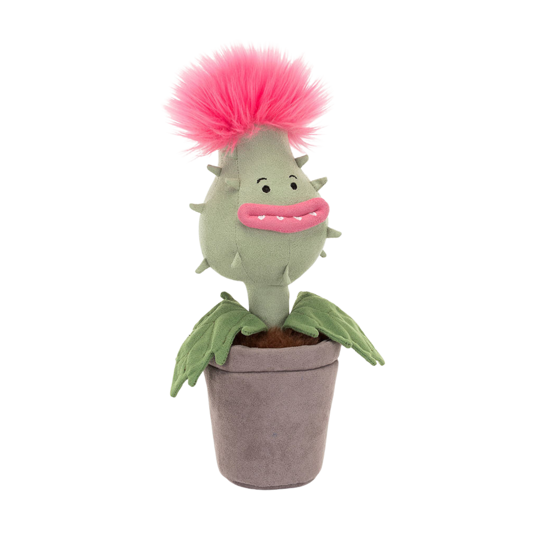 Carniflore Priscilla