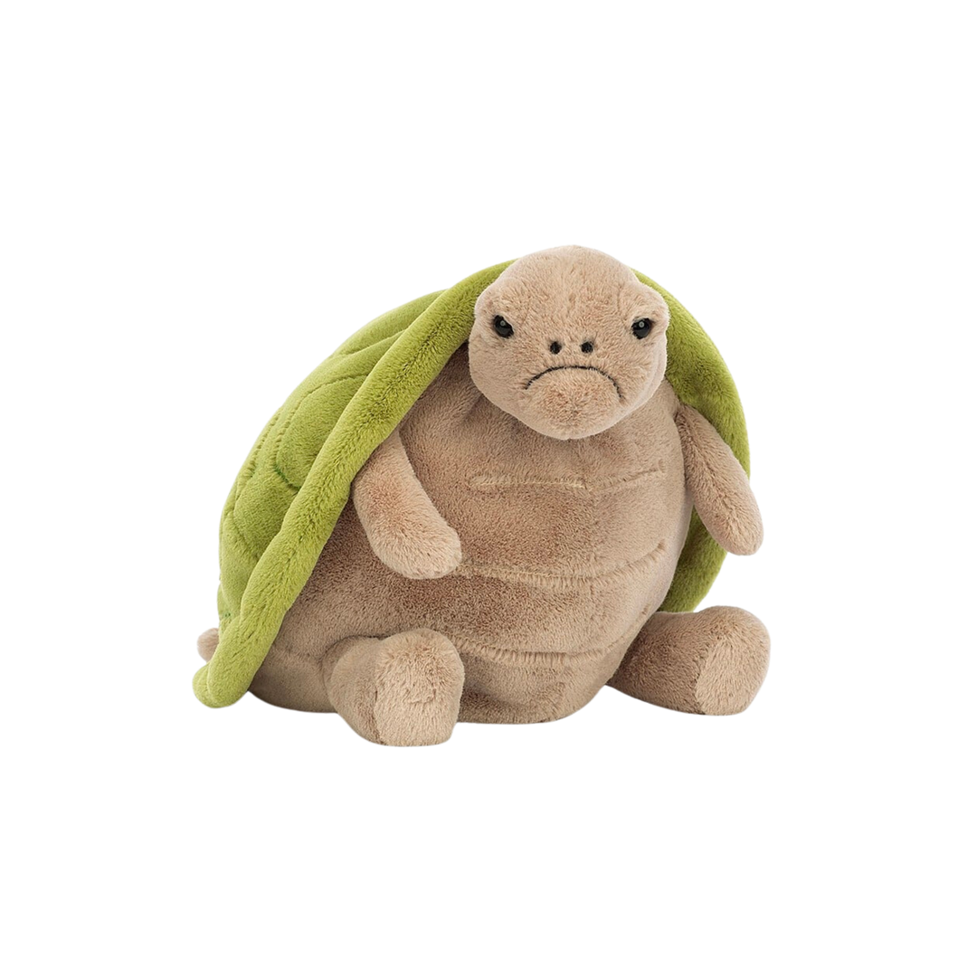 Timmy Turtle