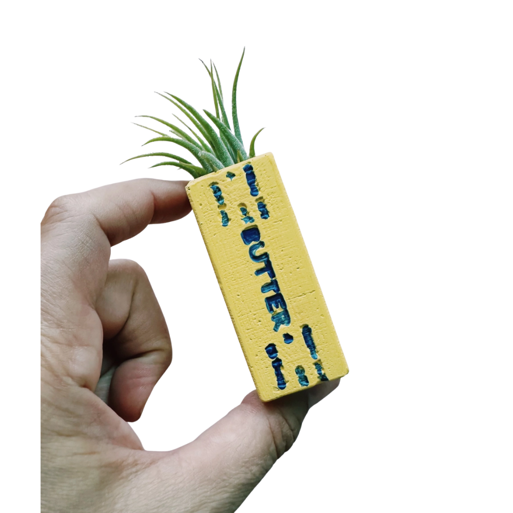 Butter Stick Mini Planter with Air Plant