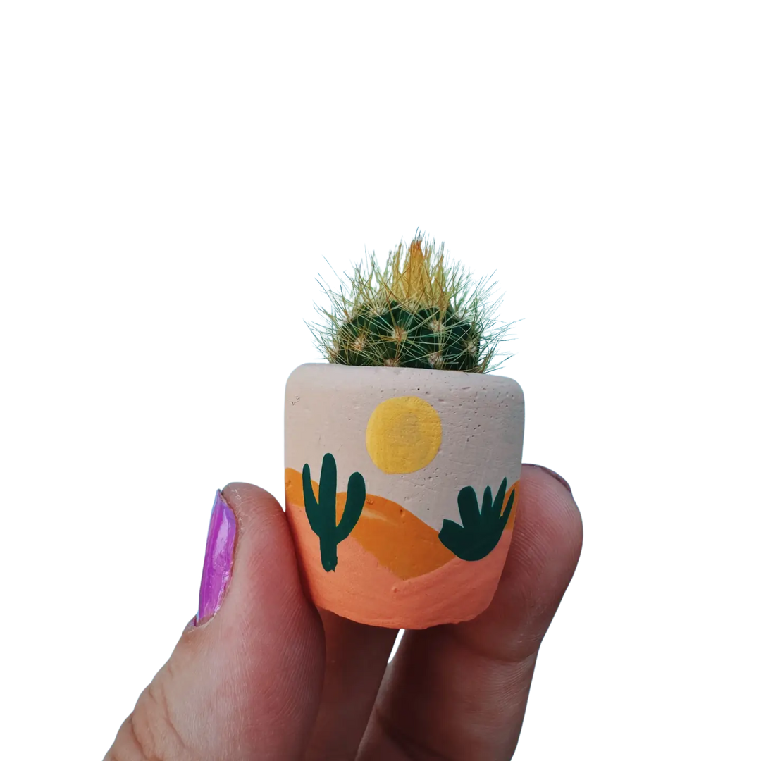 Desert Mini Pot with Mini Barrel Cactus