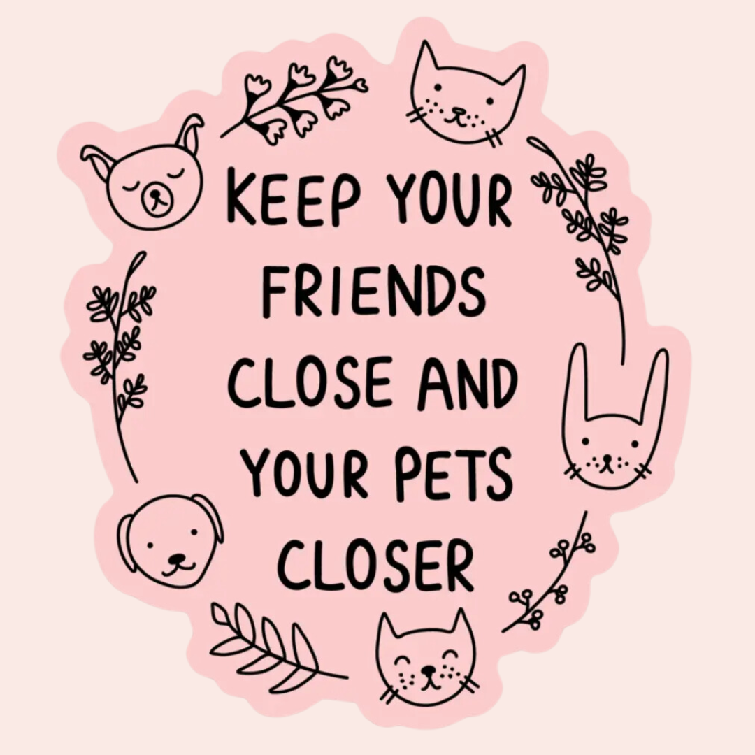 Keep Your Friends Close Sticker