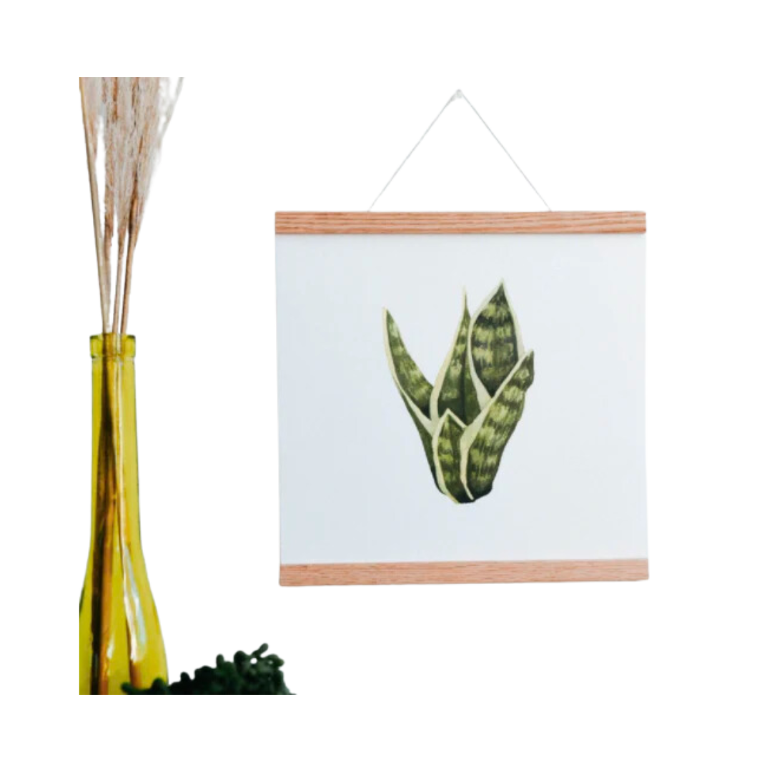 snake plant art Snake Plant Art Print – Golden Hour Gift Co