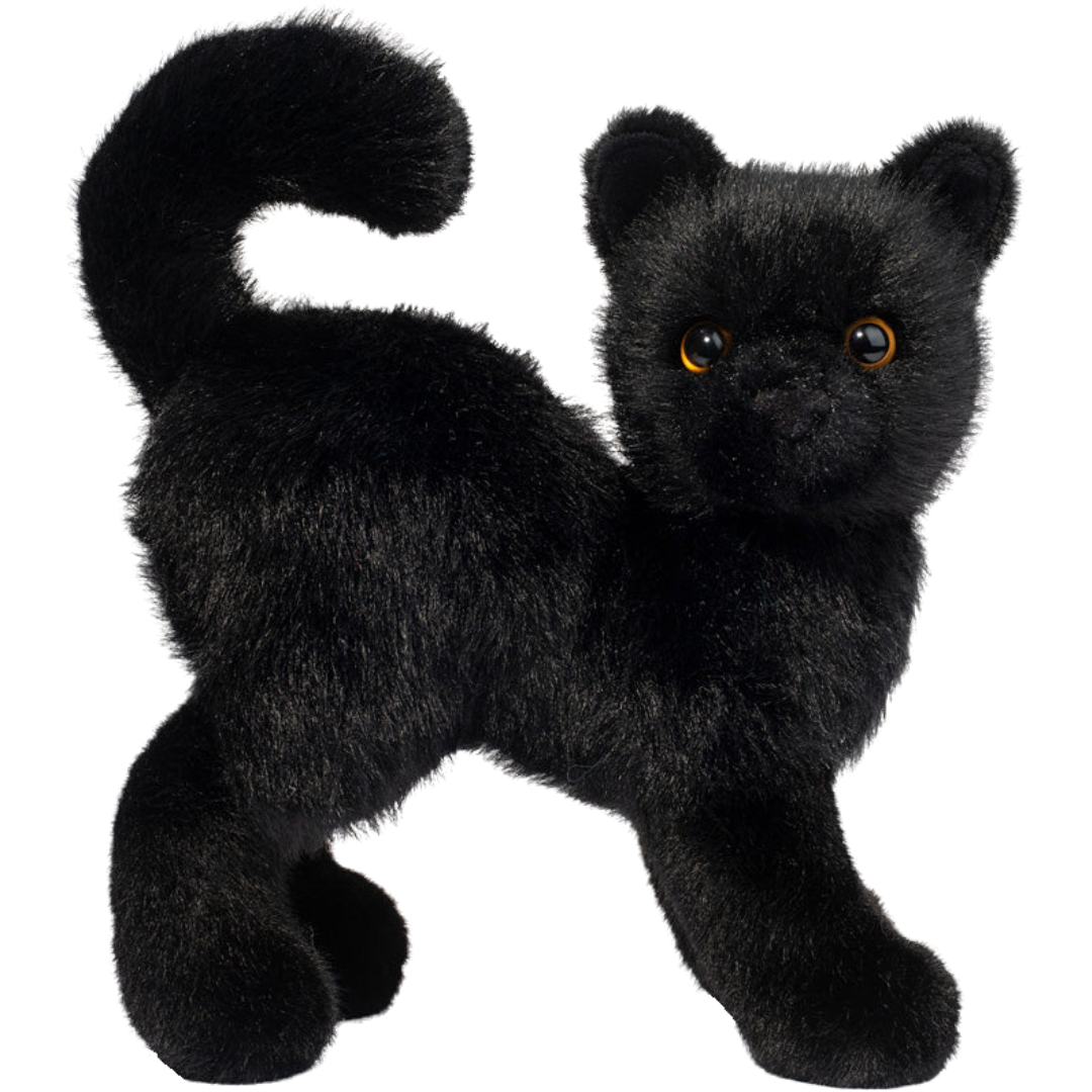 Scaredy Black Cat