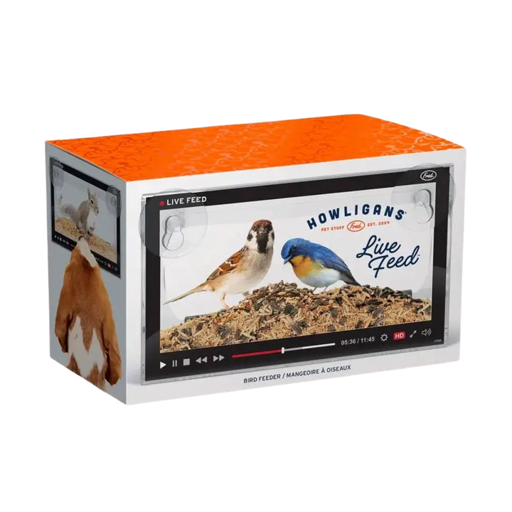Howligans Bird Feeder - Live Feed