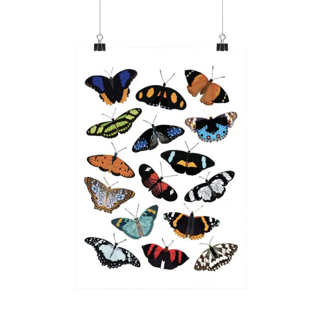 Nymphalidae (Butterfly) Species Insects Art Print