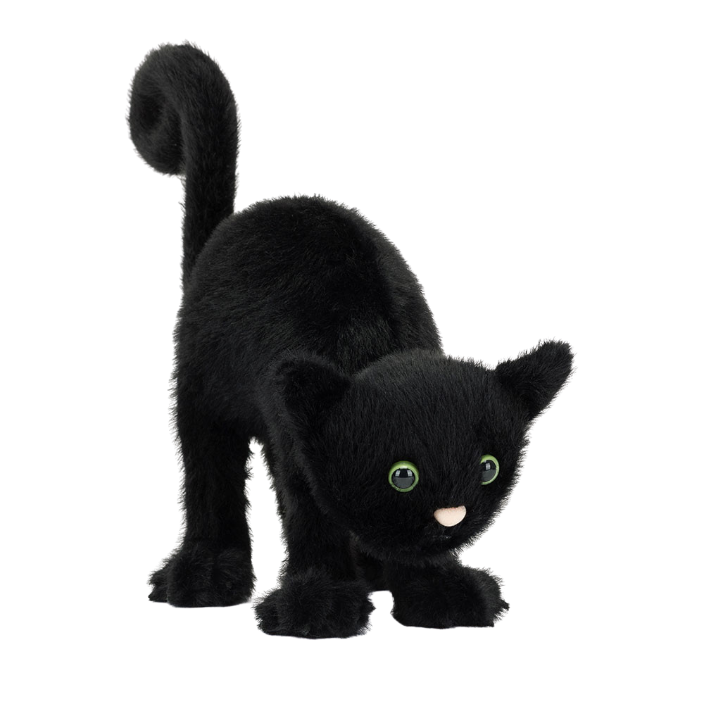 Spookipaws Cat