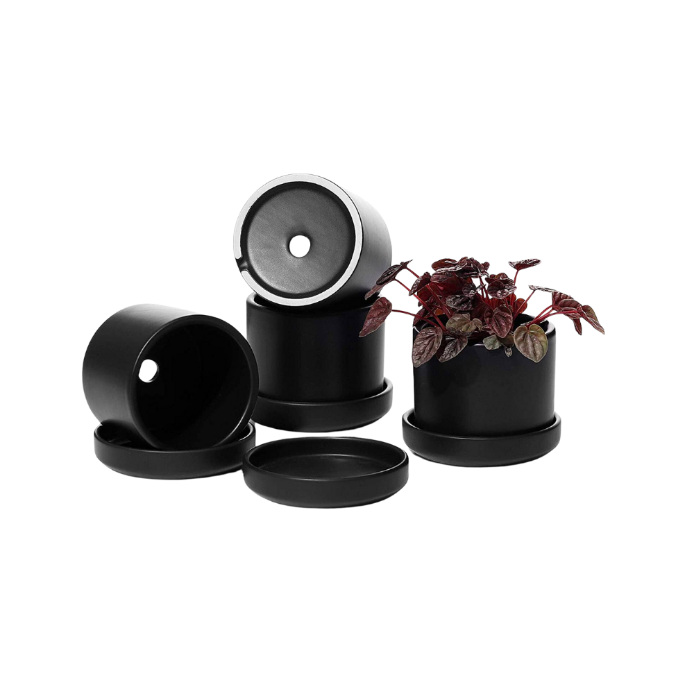 3 inch ceramic plant pots 3 Inch Black Cylinder Ceramic Plant Pot – Golden Hour Gift Co