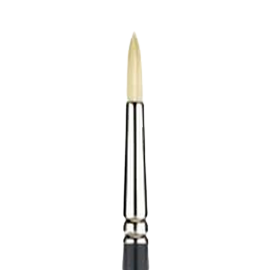 Snap Bristle Long Handle Round 12