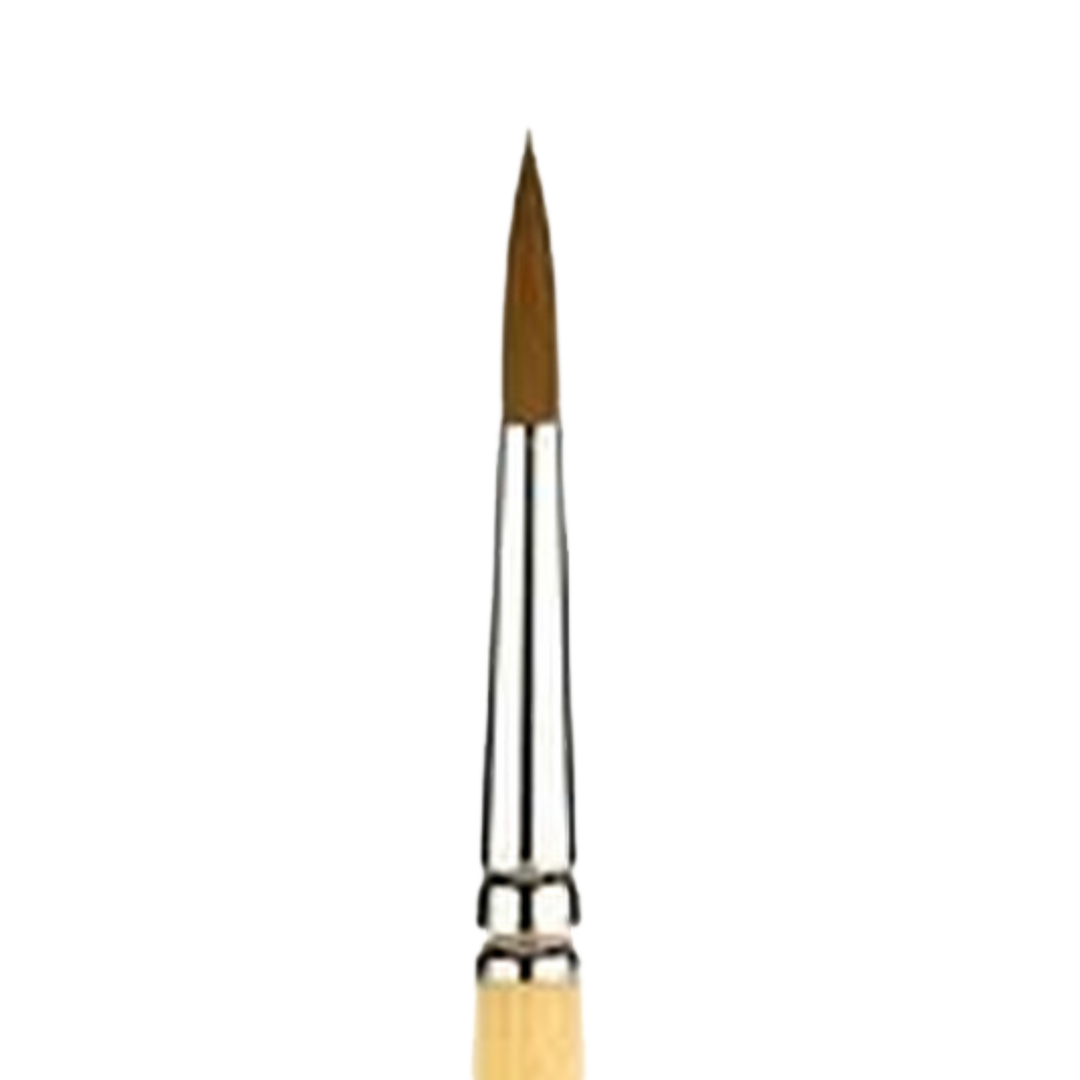 Snap Gold Taklon Short Handle Round 12