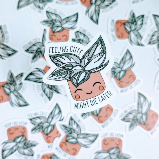 Feeling Cute Vinyl Sticker