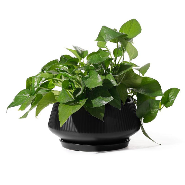8.8 Inch Large Ceramic Plant Pot with Saucer - Black
