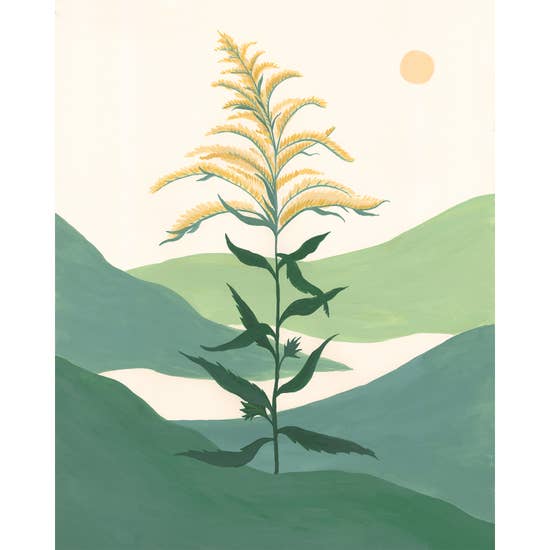 Goldenrod 8x10 Print