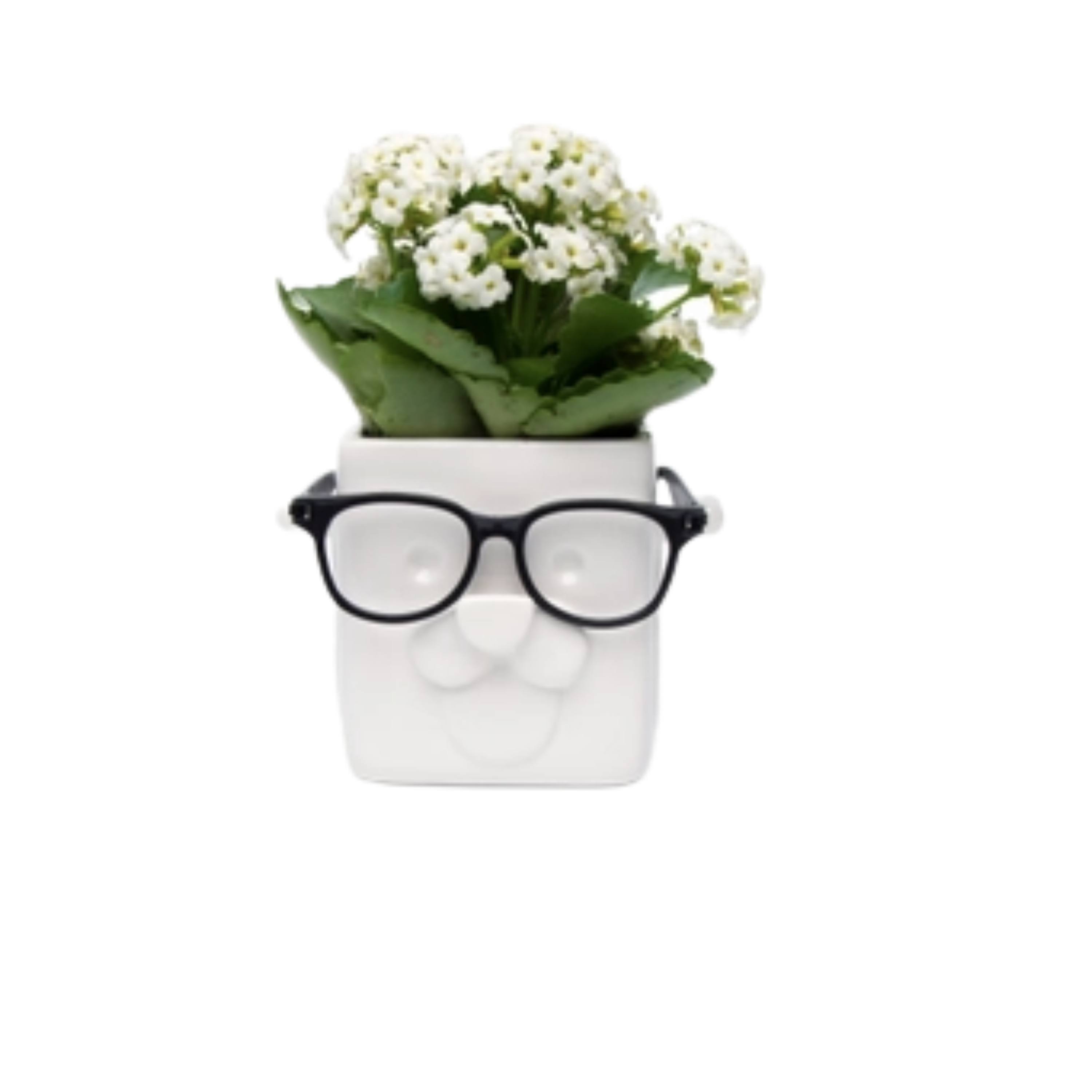 puppy plant pot Puppy Plant Planter – Golden Hour Gift Co