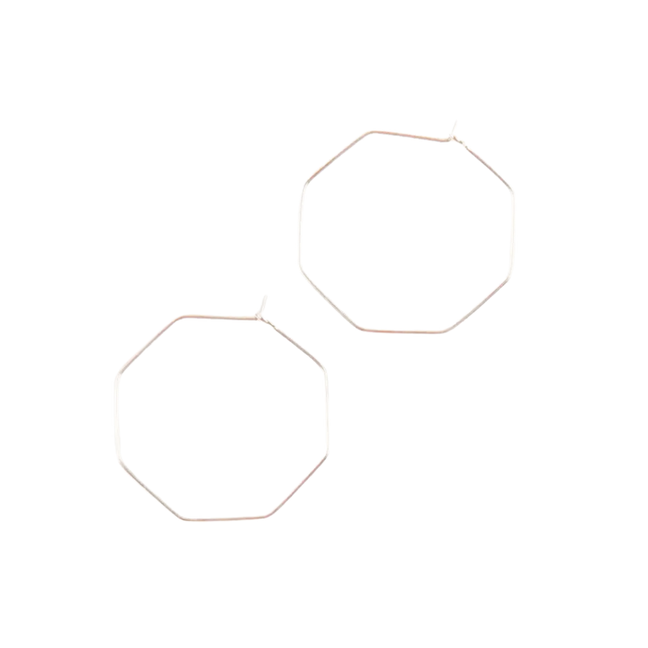 Small Hex Earrings