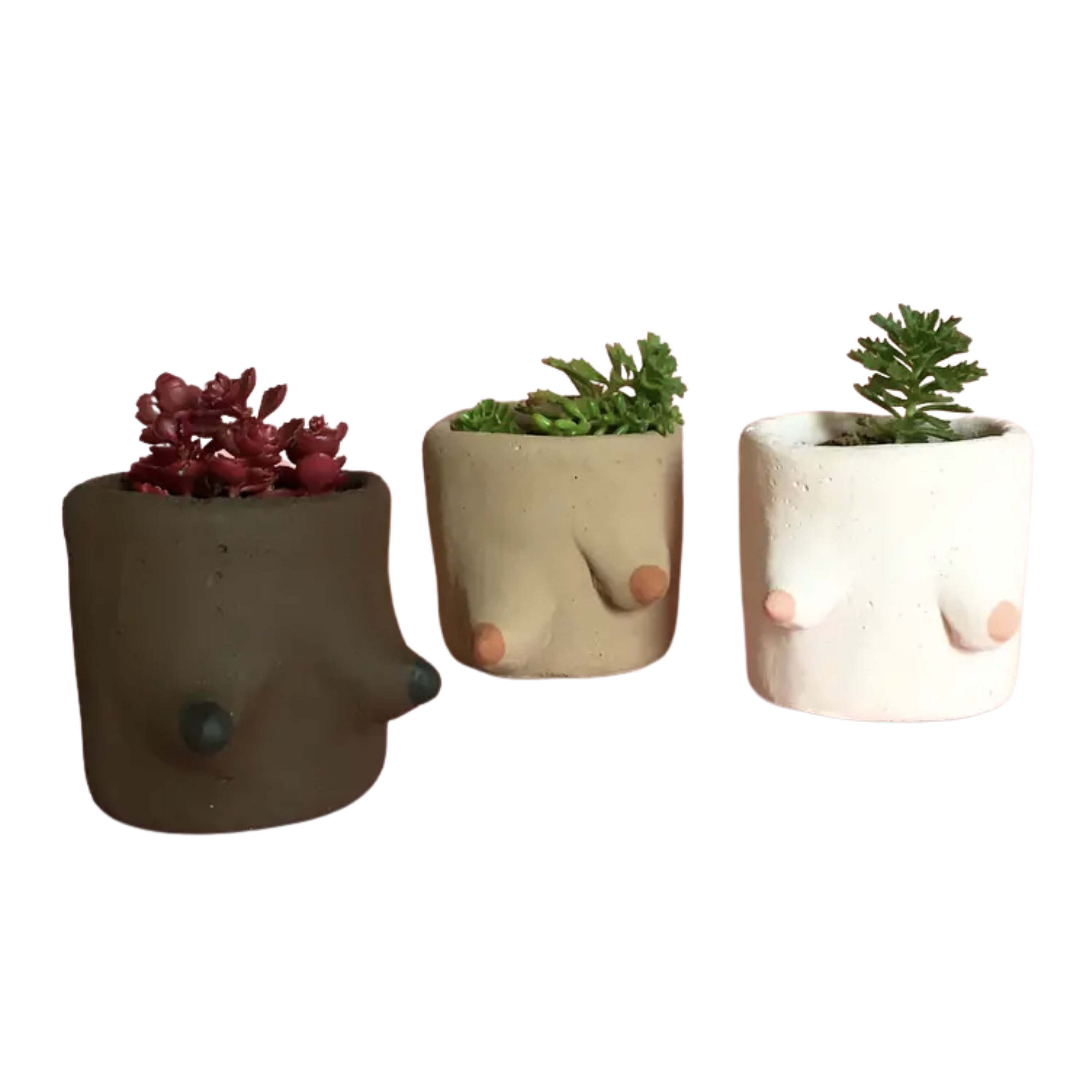 Painted Cement Boob Pots – Golden Hour Gift Co
