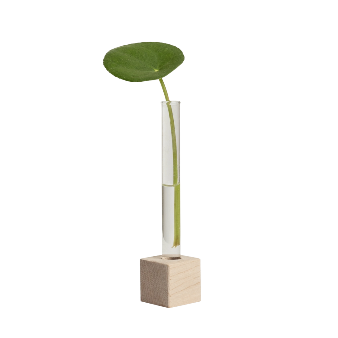 Propagation Station Single
