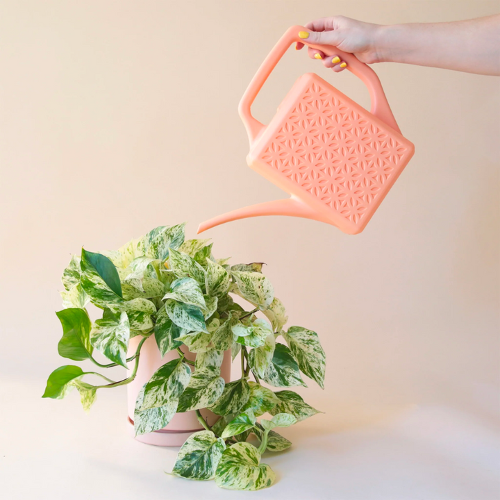 Breeze Block Watering Can