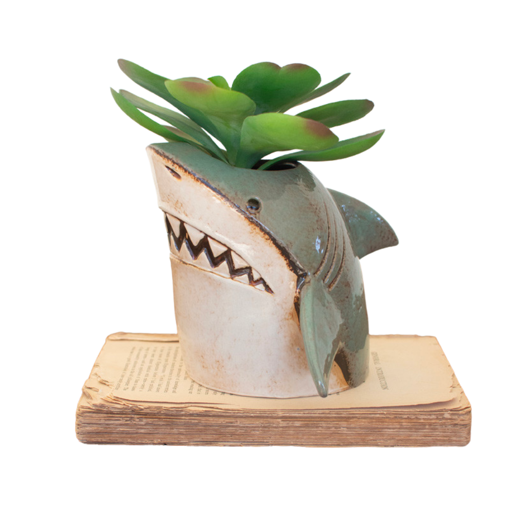 shark plant pot Ceramic Shark Planter