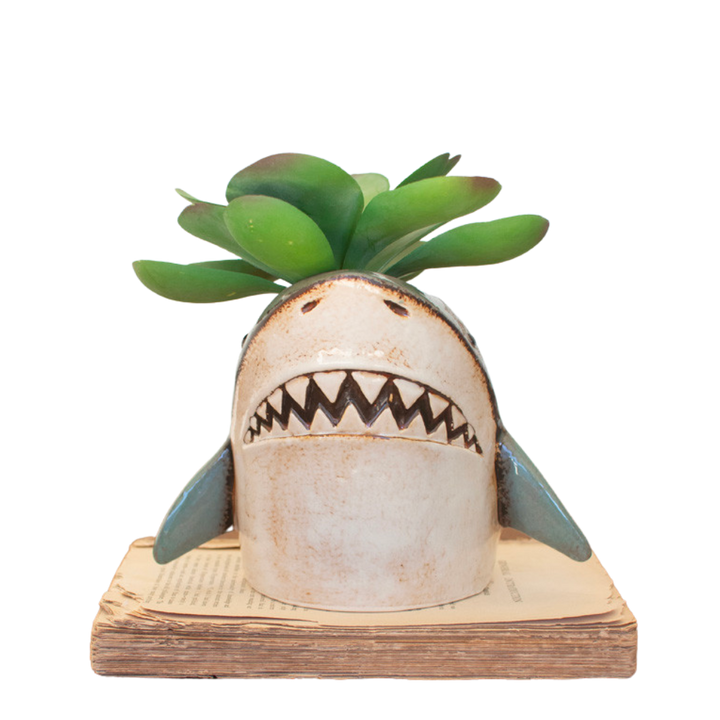 Ceramic Shark Planter