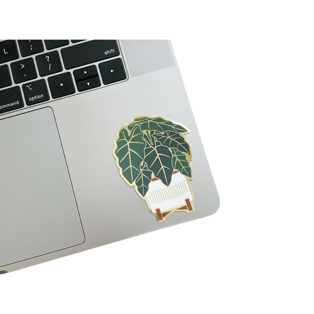 Alocasia Sticker