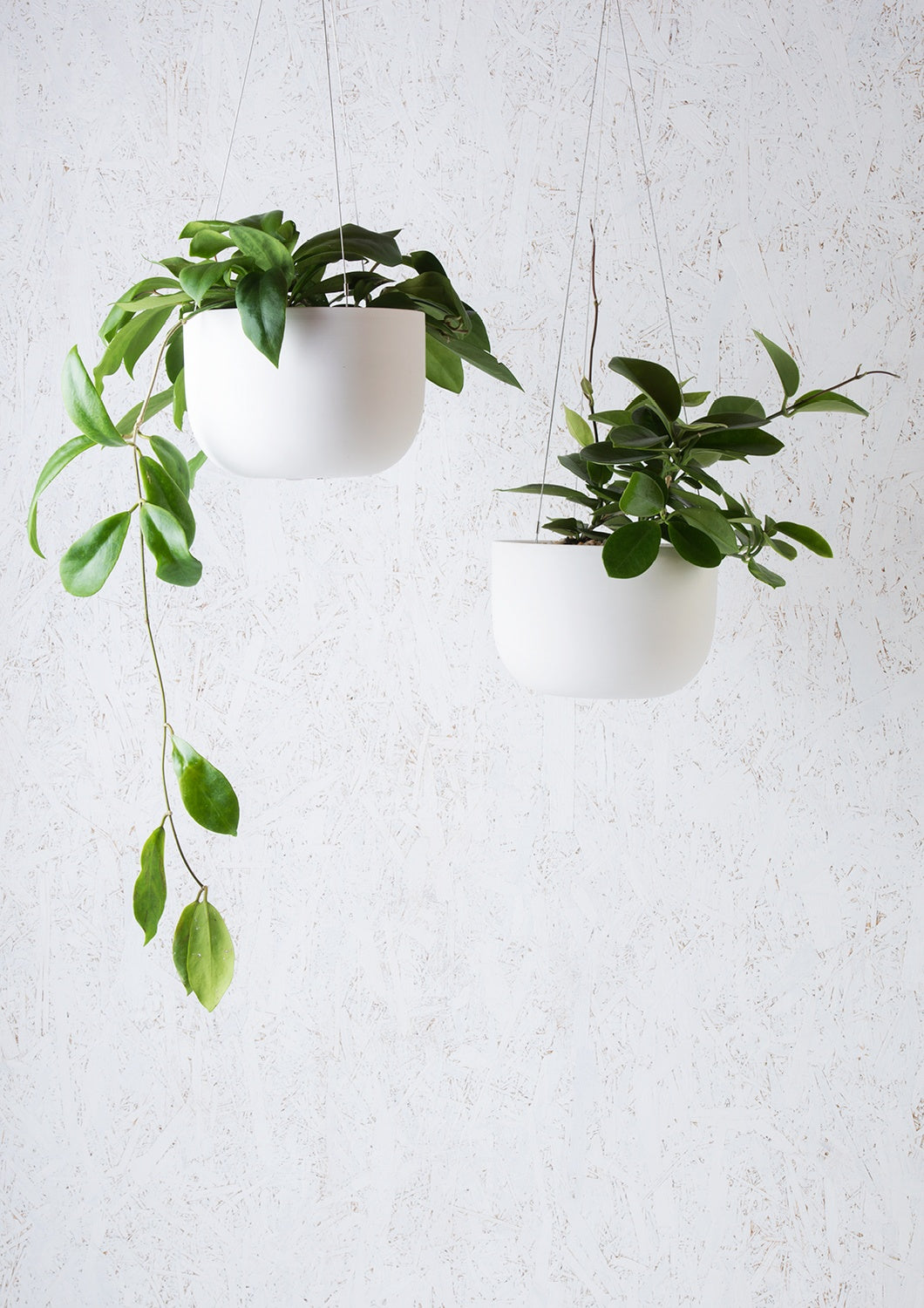 white wall planter indoor Raw Earth Hanging Planter
