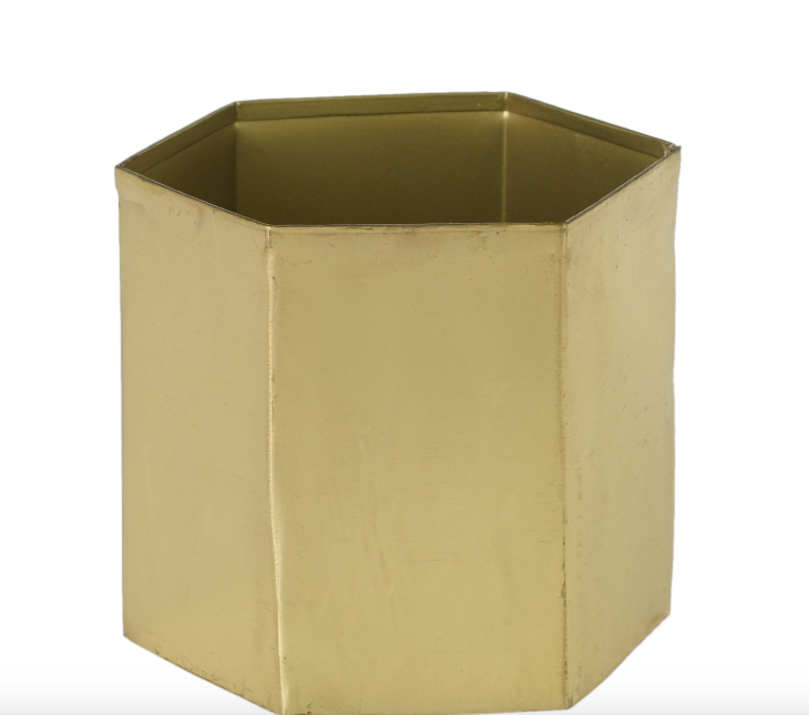 Editor Pot