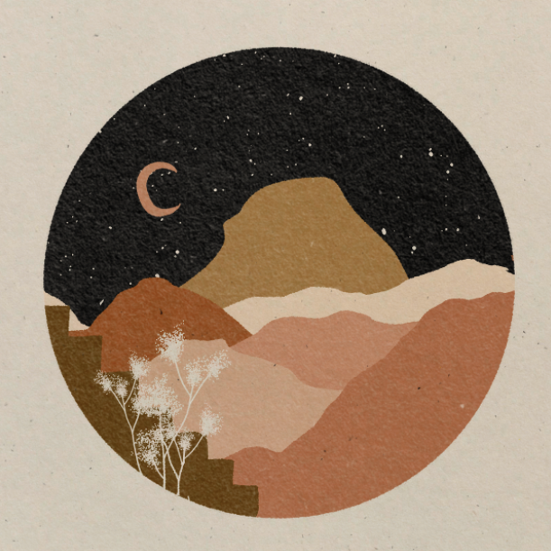 Desert Flower At Night II Art Print